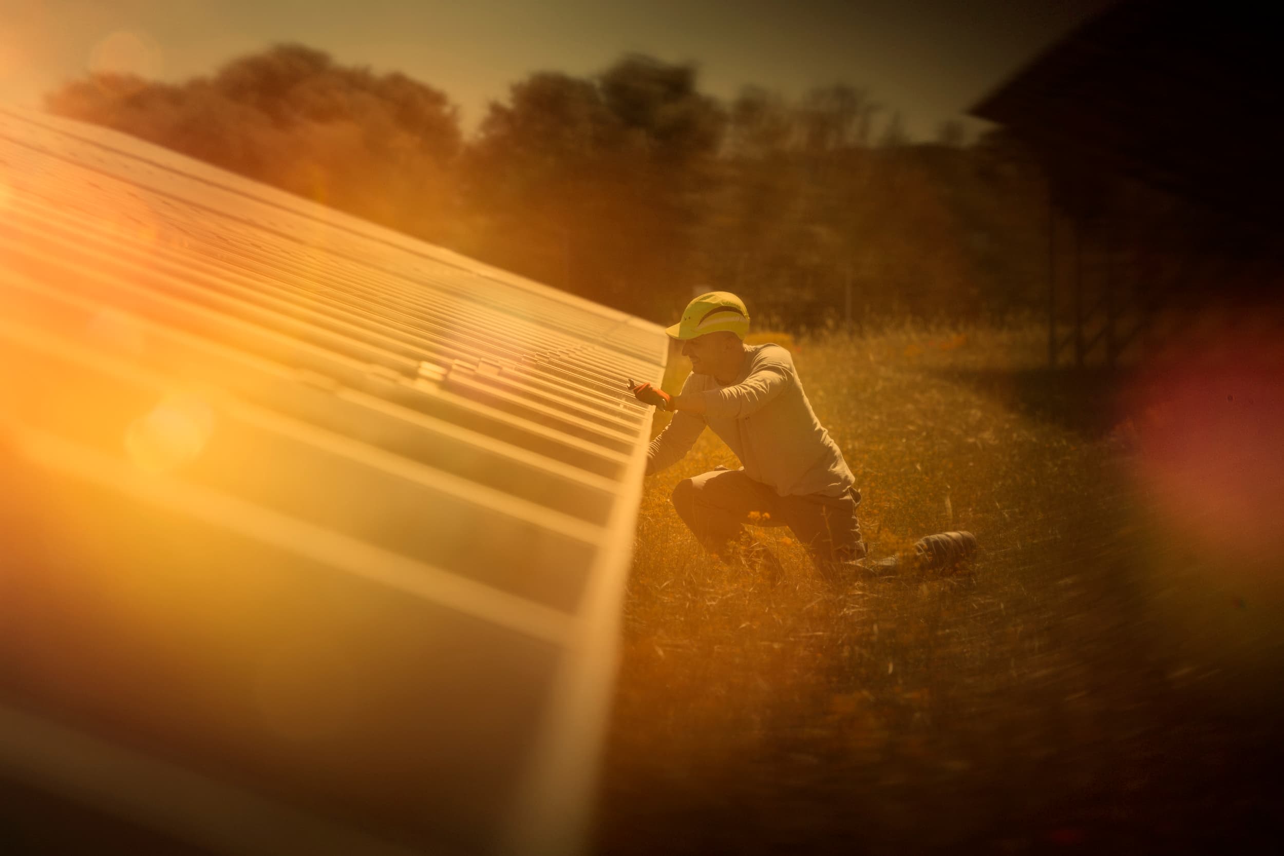 Zelestra expands US partnership with Meta through 180 MWdc Palmera solar PPA in Texas