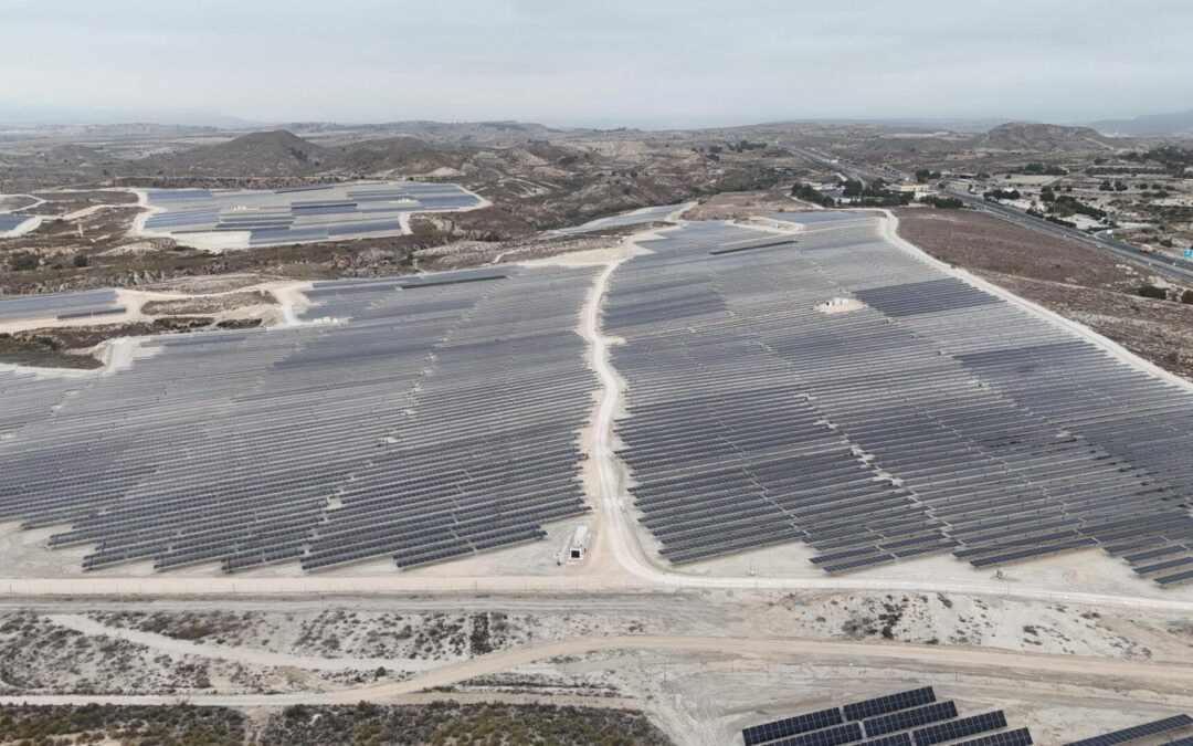 Zelestra begins construction of two new solar plants in Spain to serve Graphic Packaging International with clean energy